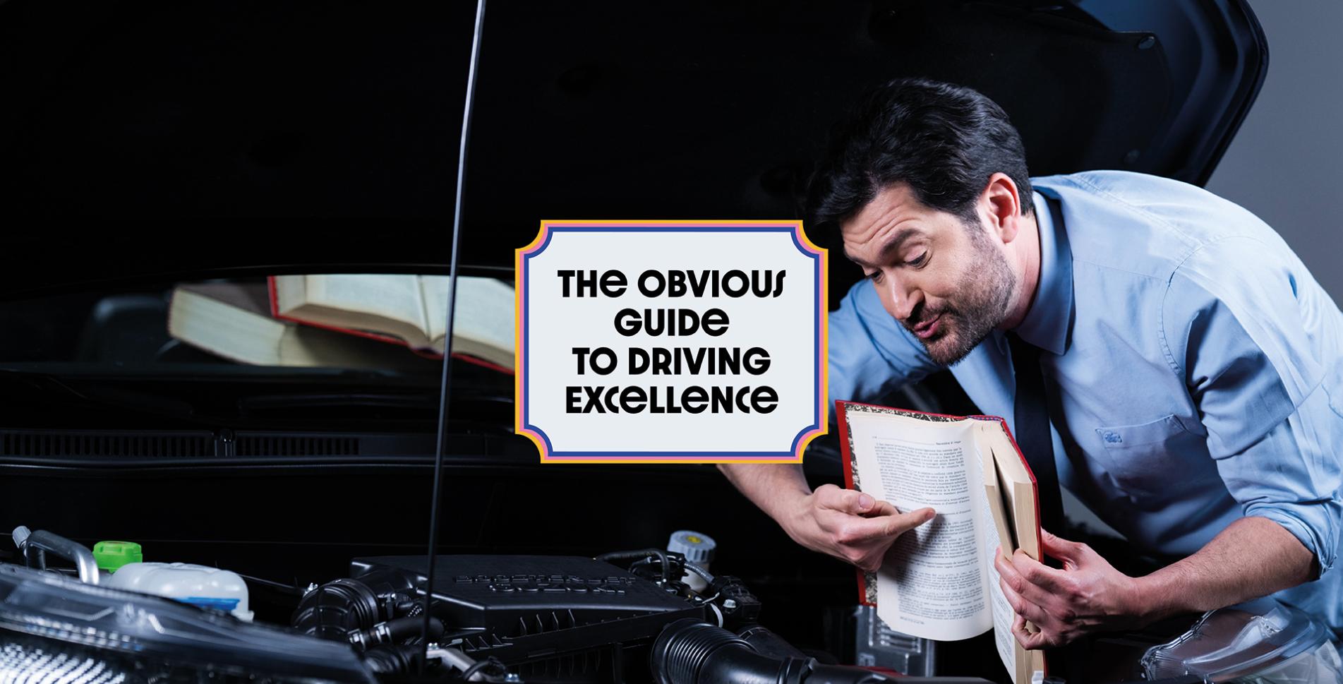 The Obvious Guide to Driving Excellence