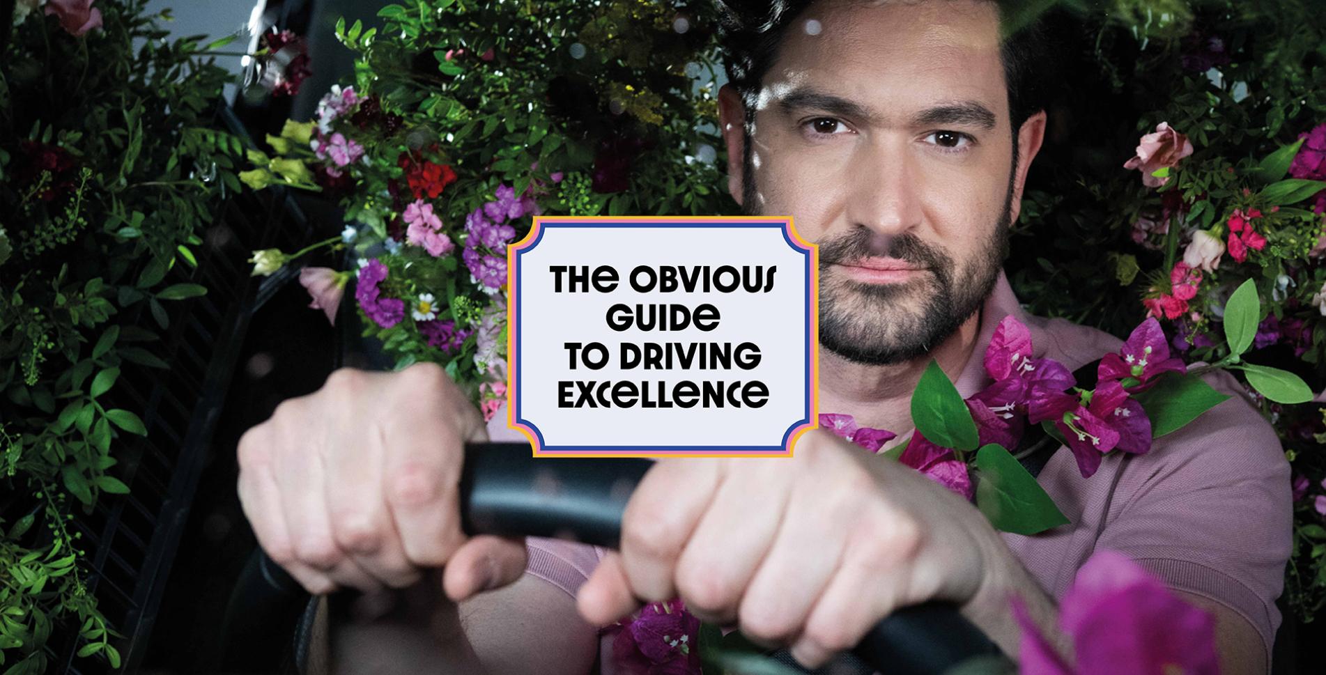 The Obvious Guide to Driving Excellence